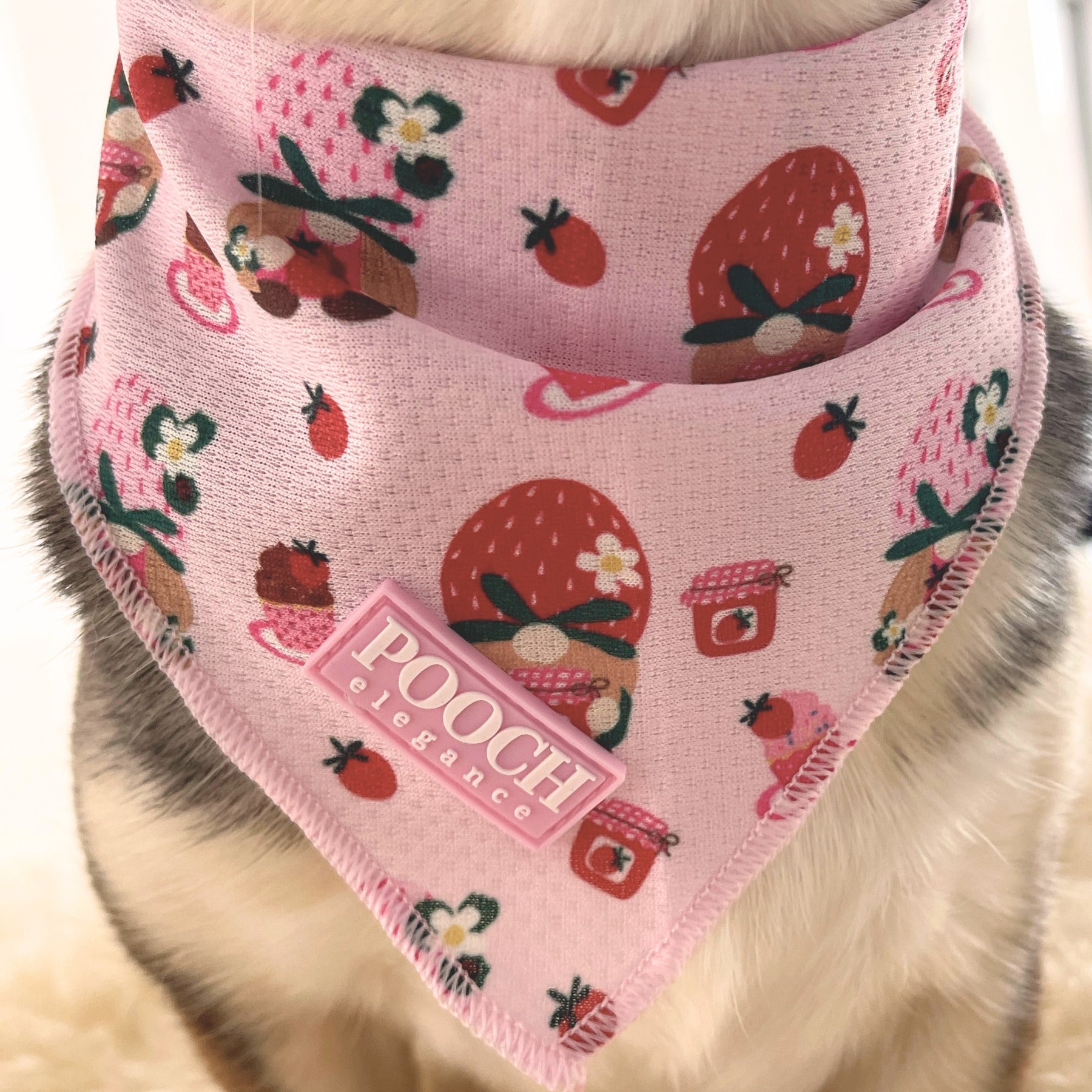 Sweetberry Picnic Dog Bandana