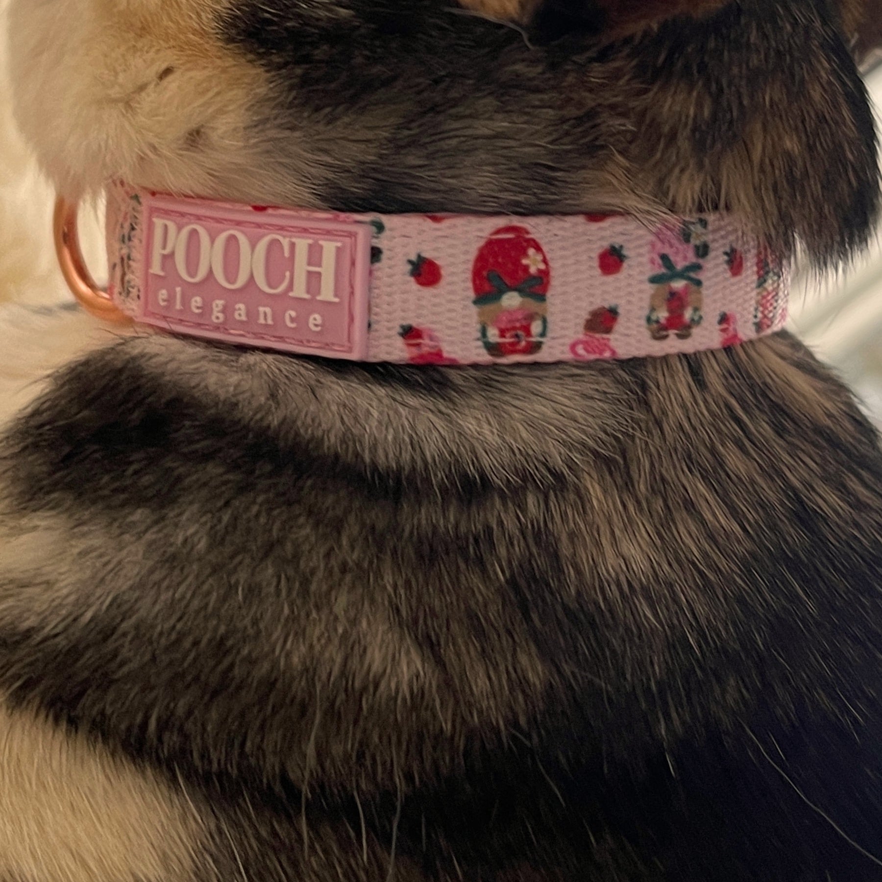 Sweetberry Picnic Dog Collar