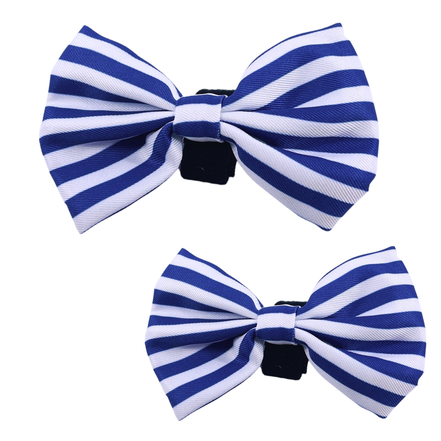 Carnival Stripe - Royal Blue Bow Tie