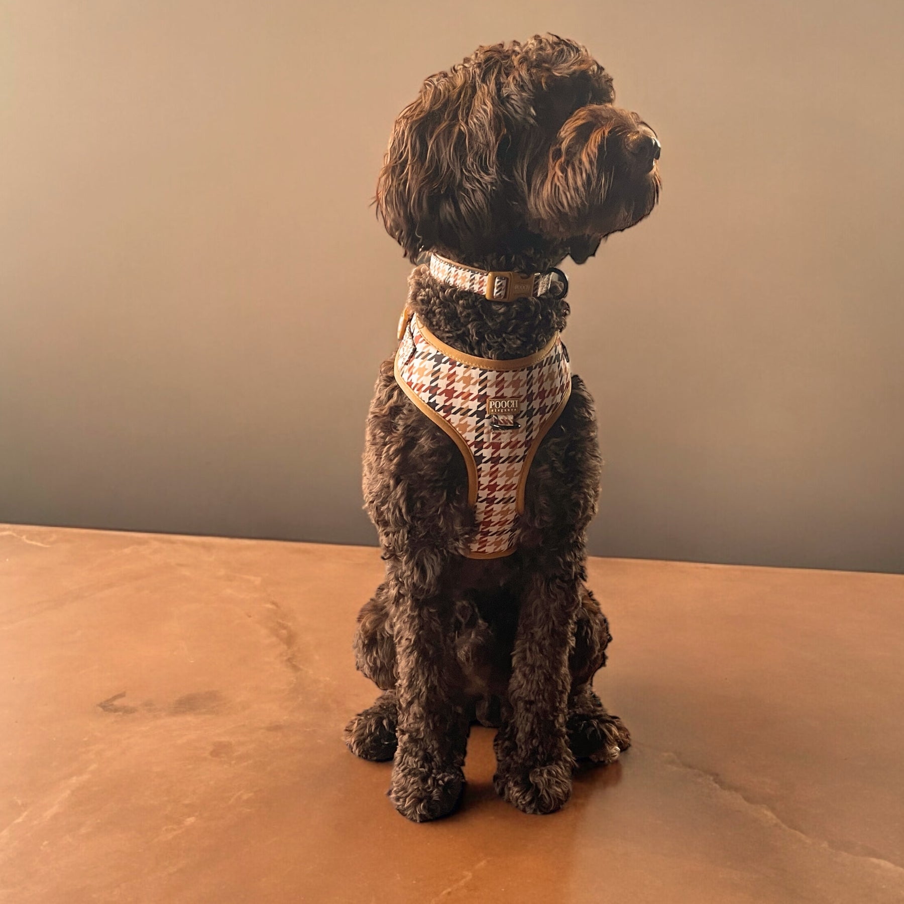 Houndstooth - Beau Adjustable Dog Harness