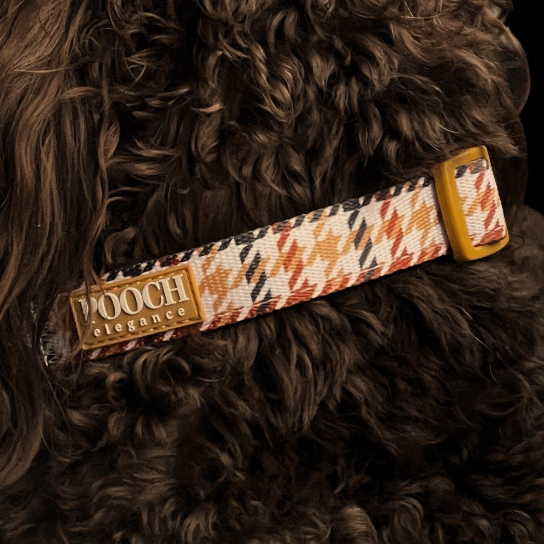 Houndstooth - Beau Dog Collar