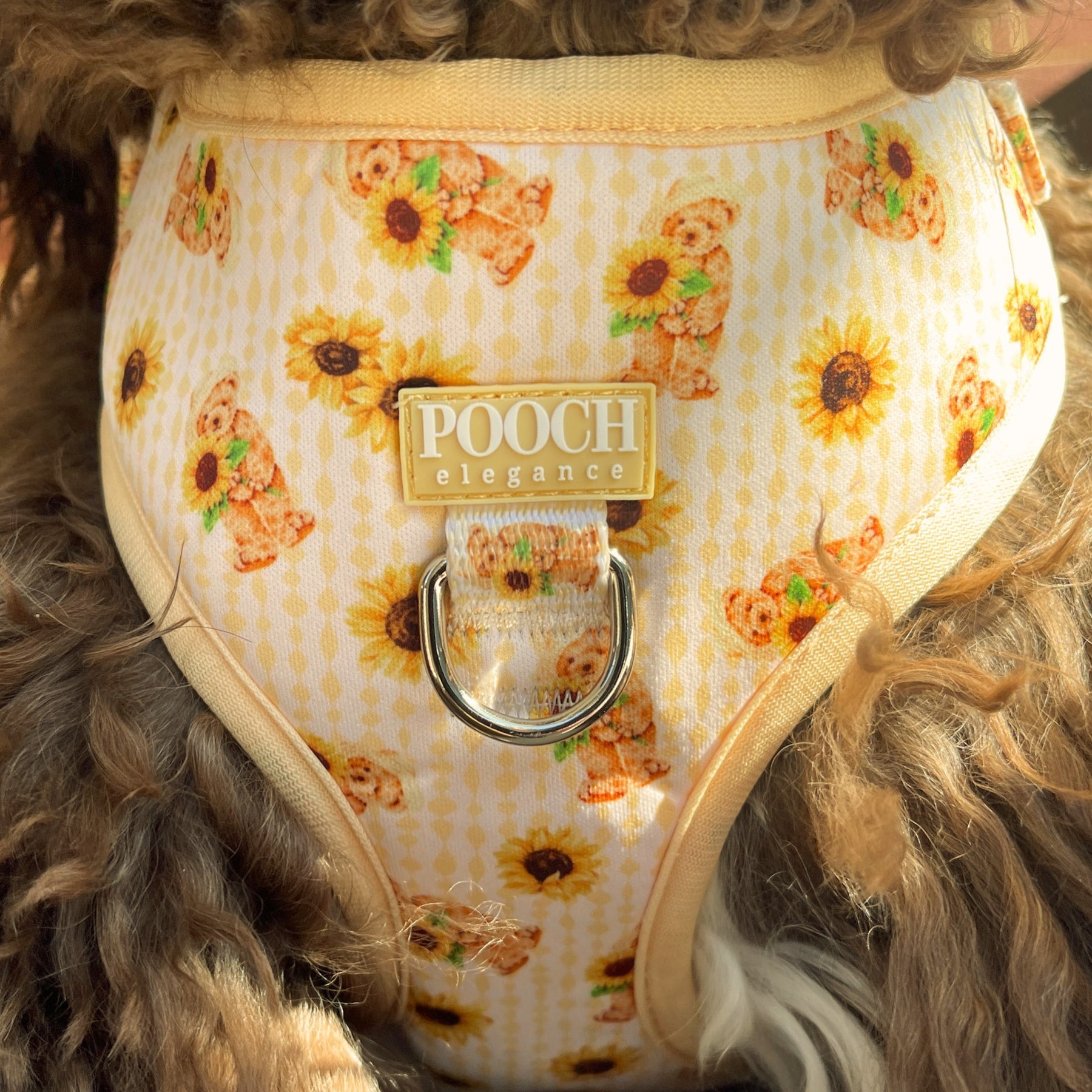 Sunflower Bears Adjustable Dog Harness