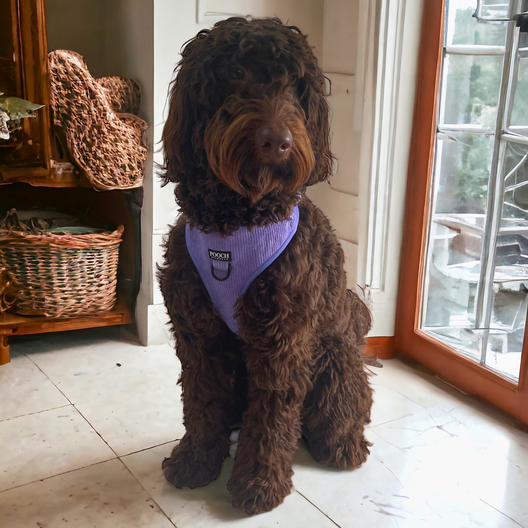 Corduroy Adjustable Harness - Dusty Purple