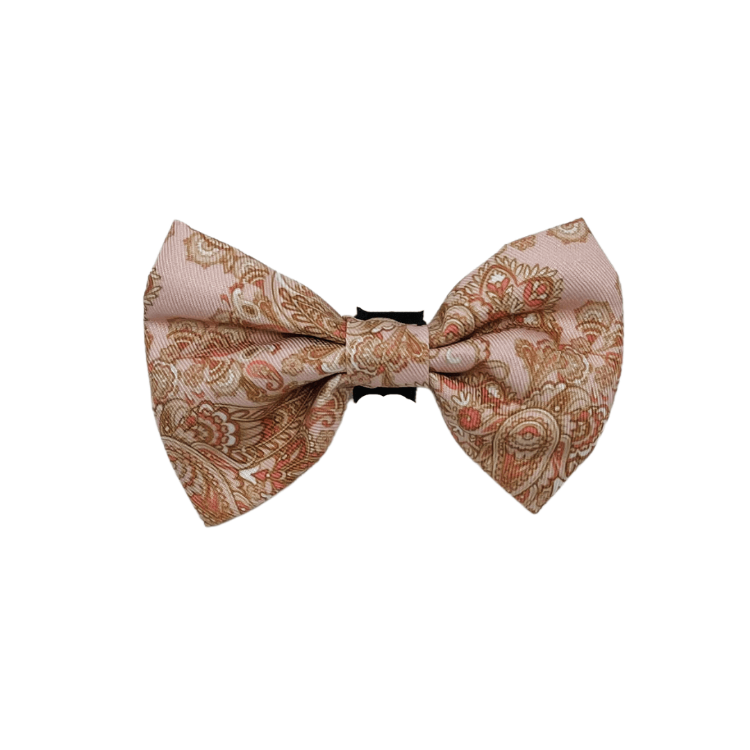 Paisley Blush Bow Tie - Pooch Elegance