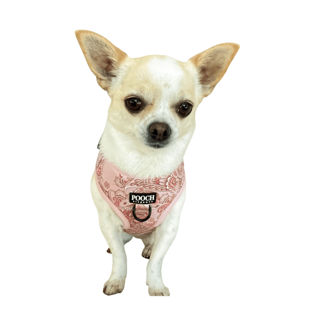 Paisley Blush Adjustable Dog Harness