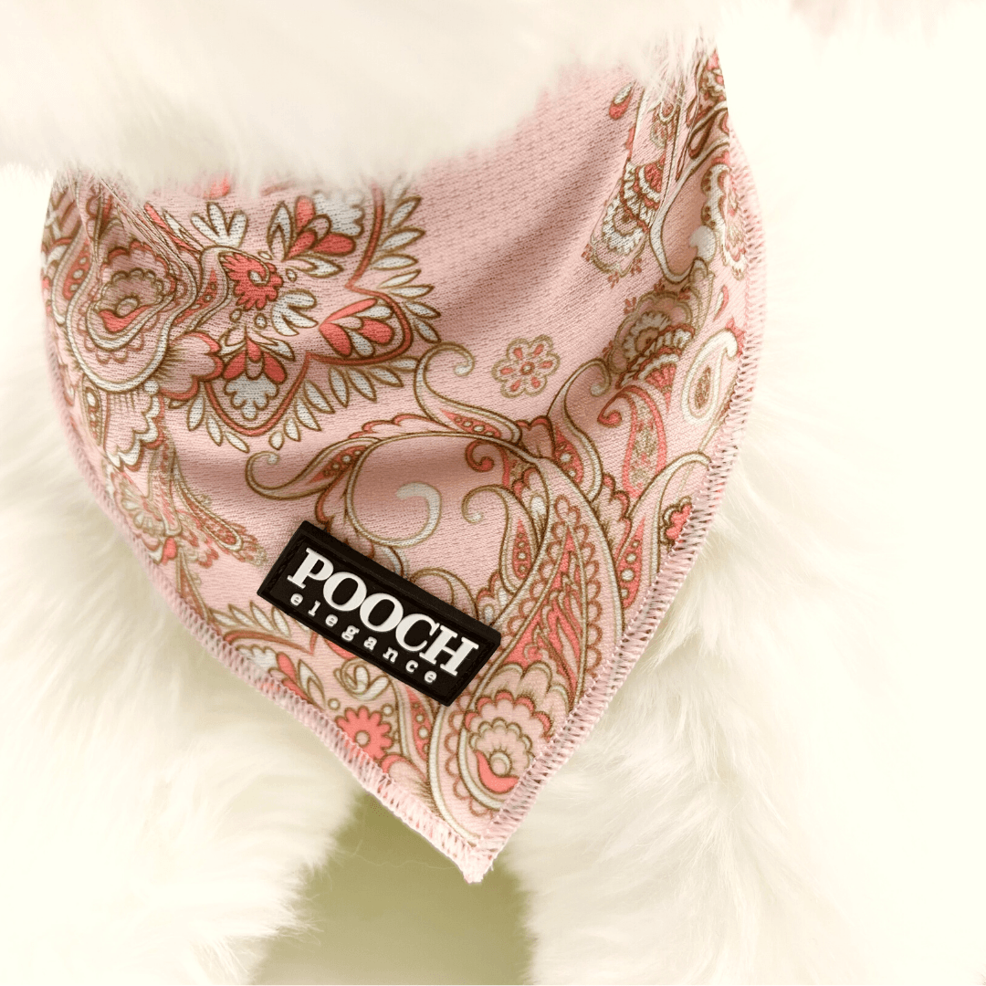 Paisley Blush Dog Bandana