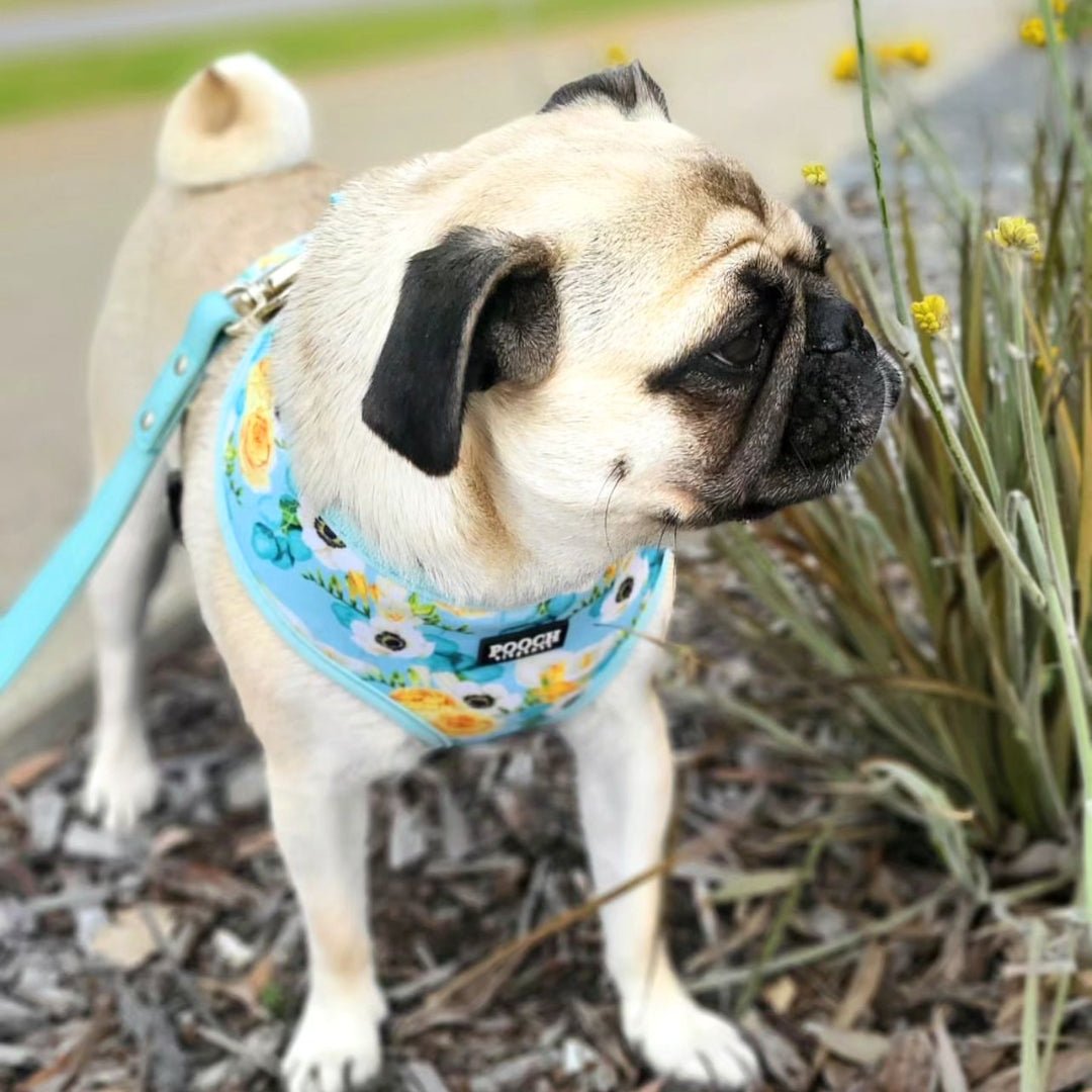 Spring Blooms Reversible Harness